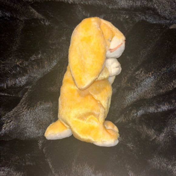 Grace the Praying Rabbit - Picture 2 of 6